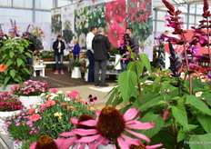 A glimpse of the CAST trial location Grolink.